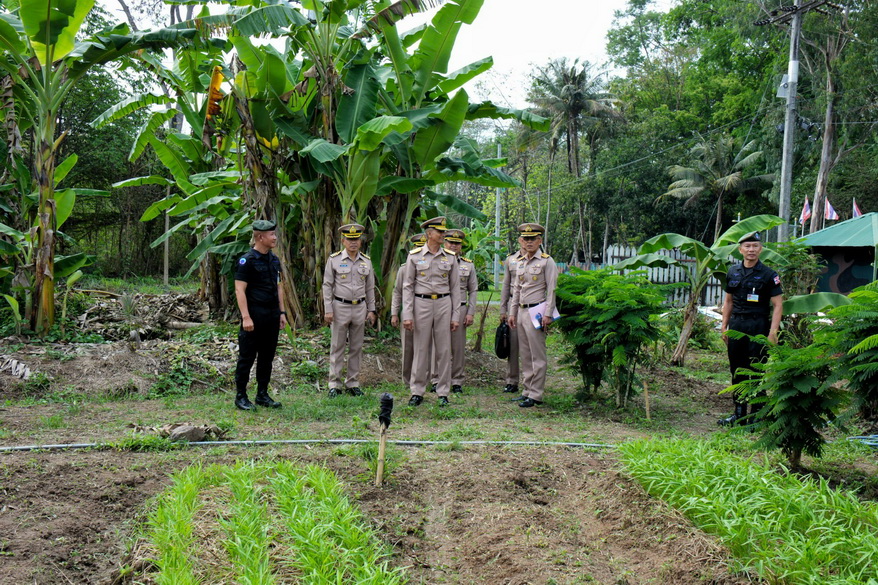 1624509_0.jpg